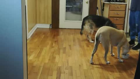 Snapshot of jacksonmale1974 chatting on 10, 1, 2026 funtimes49203 online show from 10, 1, 2026