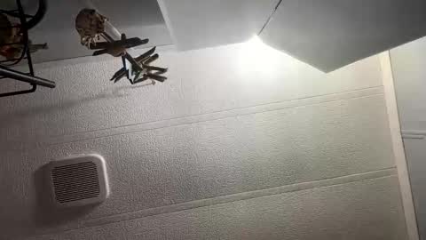 Snapshot of jacobh2014 chatting on 8, 1, 2026 jacobh2014 online show from 8, 1, 2026