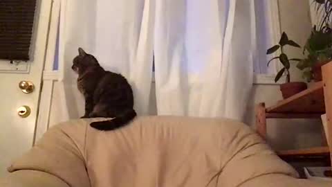 Snapshot of jacobmotes chatting on 19, 10, 2025 Jacob online show from 19, 10, 2025