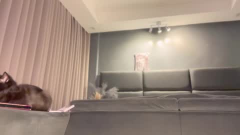 Snapshot of jacolandia chatting on 23, 2, 2025 jacolandia online show from 23, 2, 2025