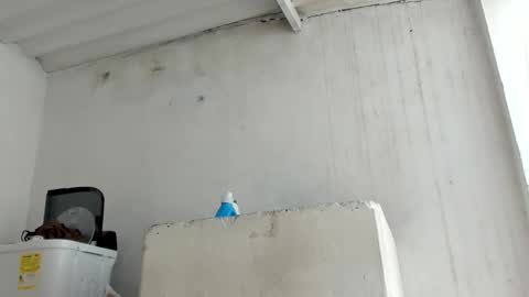 Jade Smith online show from 24, 10, 2025