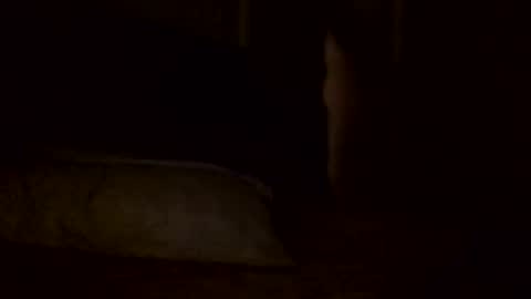 Jamacian online show from 2, 2, 2025