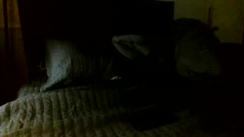 Jamacian online show from 7, 11, 2025