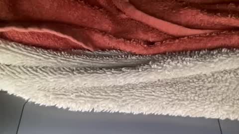 Snapshot of jameskarmin7 chatting on 11, 3, 2026 jameskarmin7 online show from 11, 3, 2026