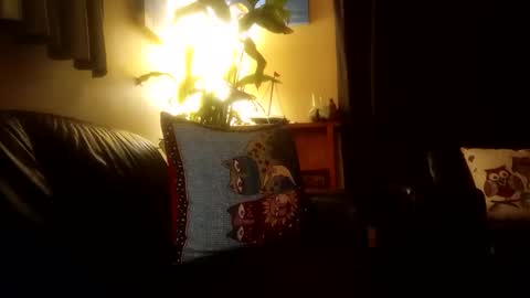 jamesloveridge901 online show from 25, 10, 2025