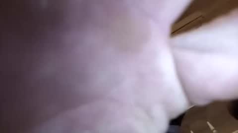 Snapshot of jamesloveridge901 chatting on 2, 4, 2026 jamesloveridge901 online show from 2, 4, 2026