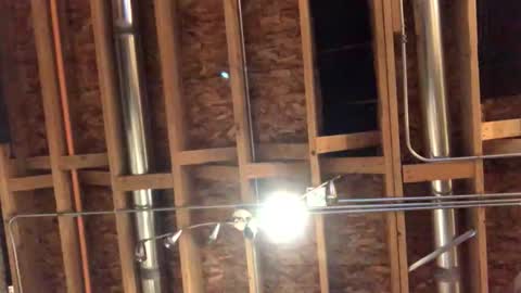 jamie19905 online show from 29, 10, 2025