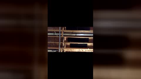 Snapshot of jamie19905 chatting on 4, 3, 2026 jamie19905 online show from 4, 3, 2026