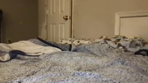 jamiexo420 online show from 5, 2, 2026