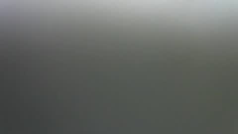 Jane online show from 14, 11, 2025