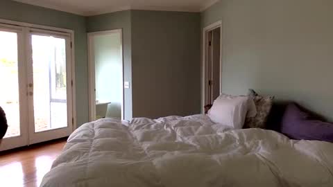 janicepepper online show from 4, 1, 2025