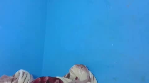 Snapshot of jarevavax chatting on 25, 1, 2025 JarevavaX online show from 25, 1, 2025