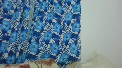 Snapshot of jarevavax chatting on 12, 2, 2025 JarevavaX online show from 12, 2, 2025