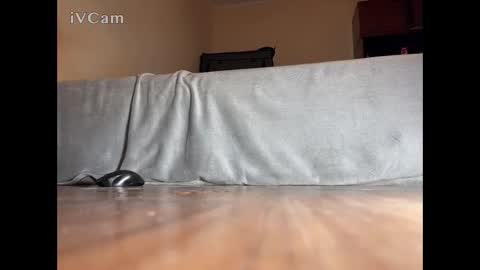 Snapshot of jarrettsss chatting on 14, 11, 2025 jarrettsss online show from 14, 11, 2025