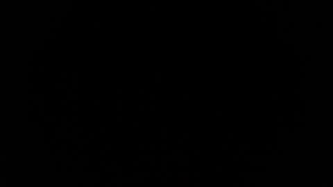 Snapshot of jasmine_star12 chatting on 12, 1, 2026 jasmine_star12 online show from 12, 1, 2026