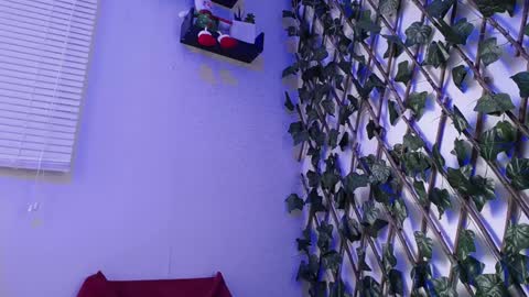 JKing  online show from 17, 12, 2024