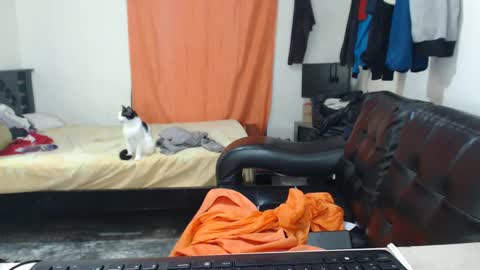 jaxivh16 online show from 11, 10, 2025