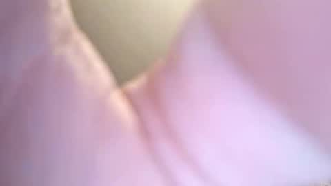 Snapshot of jay56777543234 chatting on 8, 2, 2026 jay56777543234 online show from 8, 2, 2026