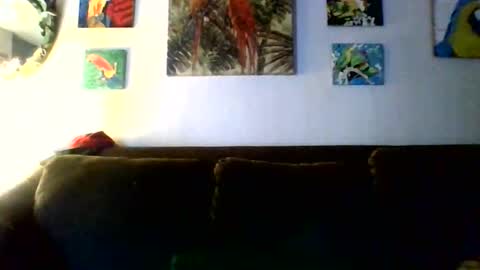 jay-jay1475 online show from 11, 2, 2026