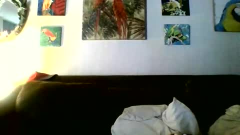 Snapshot of jay_jay1475 chatting on 7, 5, 2026 jay-jay1475 online show from 7, 5, 2026