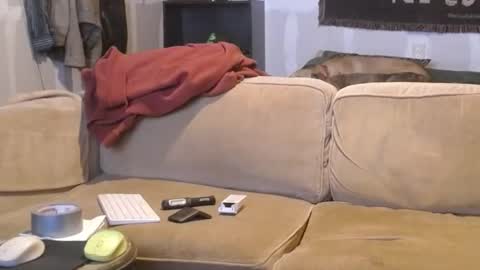 O F   jay short786 online show from 28, 2, 2025