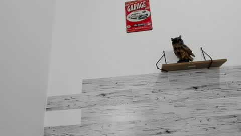 Jaycreedd online show from 12, 10, 2025