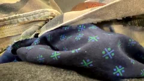 jbigblue online show from 28, 9, 2025