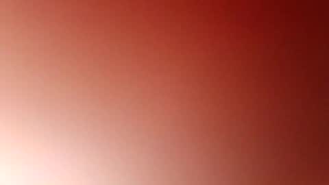 jcb2504 online show from 28, 10, 2025