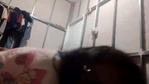 jcineylpnezy online show from 20, 10, 2025