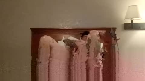 jd1507768 online show from 21, 3, 2026