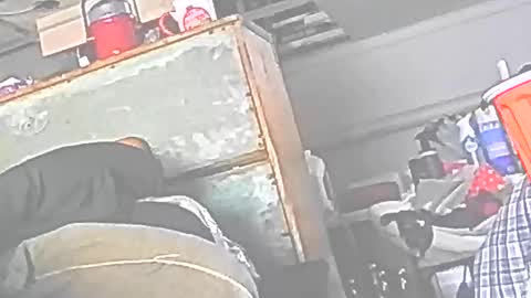 jedishy925585 online show from 16, 12, 2025