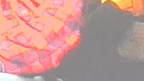 jedishy925585 online show from 17, 12, 2025