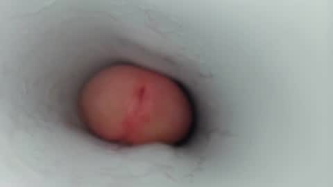 Snapshot of jeffrodgerschaturbat chatting on 17, 1, 2026 jeffrodgerschaturbat online show from 17, 1, 2026