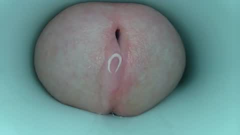 Snapshot of jeffrodgerschaturbat chatting on 11, 3, 2026 jeffrodgerschaturbat online show from 11, 3, 2026