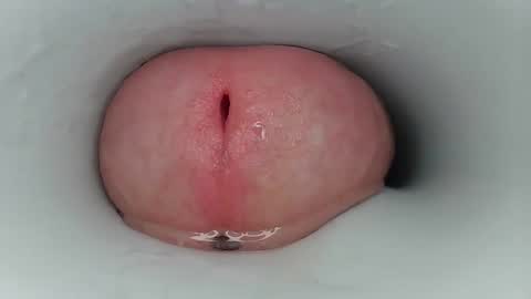 Snapshot of jeffrodgerschaturbat chatting on 17, 3, 2026 jeffrodgerschaturbat online show from 17, 3, 2026