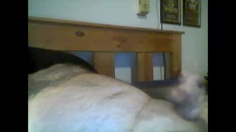 jerkmate6666 online show from 15, 5, 2026