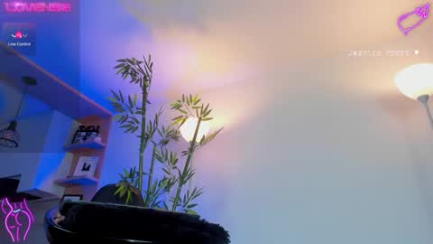  Jessica Pratt  IG jessicaxpratt online show from 25, 2, 2025