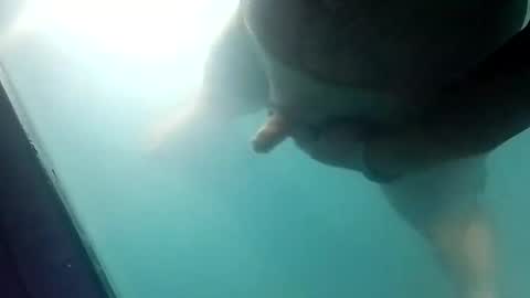 Uncut thick 5 online show from 20, 3, 2026