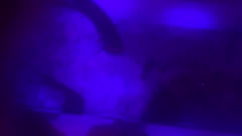 Snapshot of jfargo1990 chatting on 8, 2, 2025 Jessica online show from 8, 2, 2025