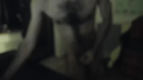 jimbob5005 online show from 8, 2, 2026