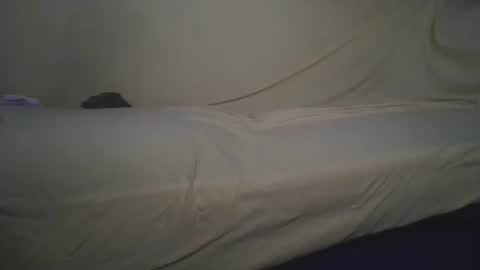 Snapshot of jimmyshelby12 chatting on 11, 6, 2026 jimmyshelby12 online show from 11, 6, 2026