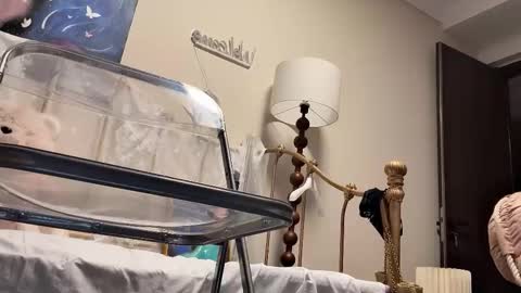 Snapshot of jingyan666 chatting on 4, 2, 2026 meng meng online show from 4, 2, 2026