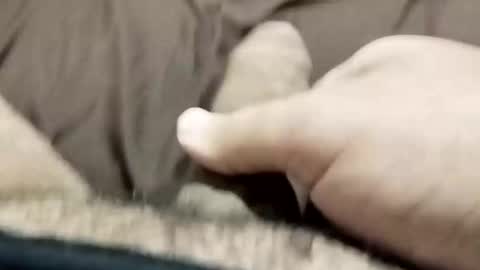 jj3377 online show from 26, 10, 2025