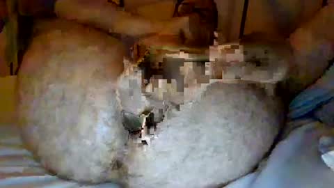 Snapshot of jjhot902921 chatting on 25, 6, 2026 jjhot902921 online show from 25, 6, 2026