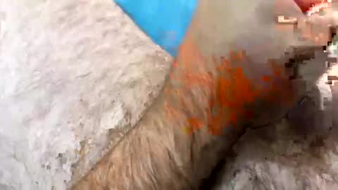 Snapshot of jkriss4545 chatting on 27, 9, 2025 Jkriss online show from 27, 9, 2025