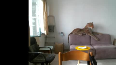 Snapshot of jlmbud chatting on 29, 9, 2025 jlmbud online show from 29, 9, 2025