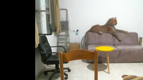 Snapshot of jlmbud chatting on 11, 10, 2025 jlmbud online show from 11, 10, 2025