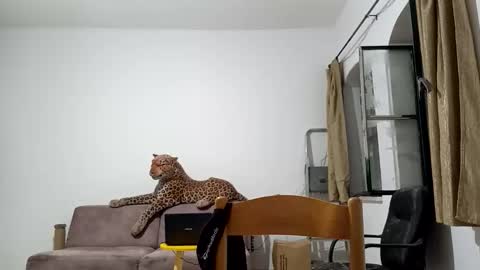 Snapshot of jlmbud chatting on 20, 10, 2025 jlmbud online show from 20, 10, 2025