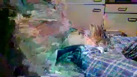 Snapshot of jogor43 chatting on 17, 1, 2026 johnyboy34 online show from 17, 1, 2026