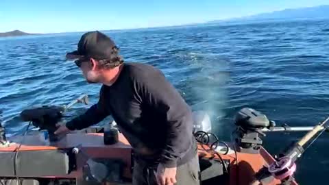 Snapshot of johnandmarie_ chatting on 5, 10, 2025 johnandmarie_ online show from 5, 10, 2025